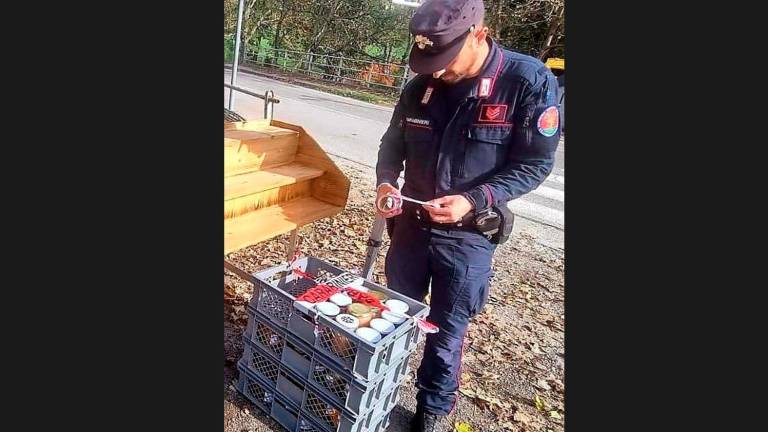 Vende funghi porcini e marmellata senza rispettare le norme: ambulante multato di 3.500 euro a Bagno di Romagna