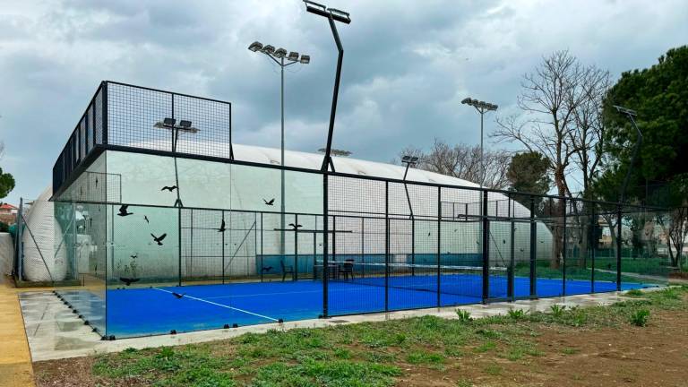 Gli uccelli sbattono sulle barriere di vetro dei campi da padel: ecco gli adesivi anti-volatili a Rivazzurra - Gallery