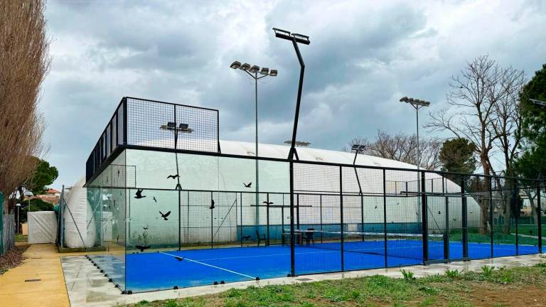 Gli uccelli sbattono sulle barriere di vetro dei campi da padel: ecco gli adesivi anti-volatili a Rivazzurra - Gallery