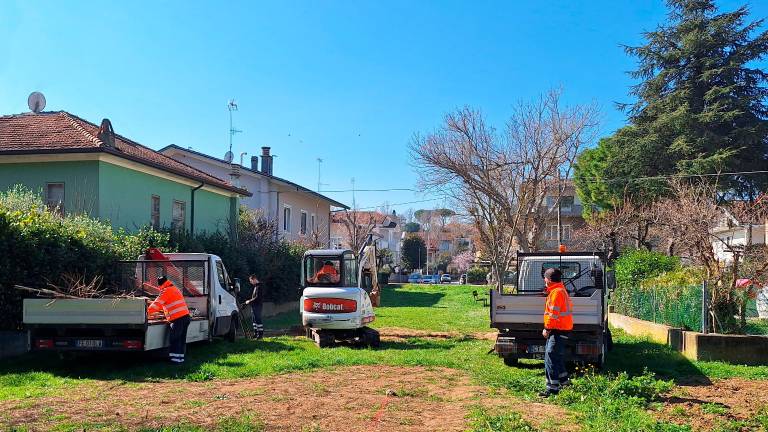 Riccione, riforestazione urbana: via alla messa a dimora dei primi 166 alberi