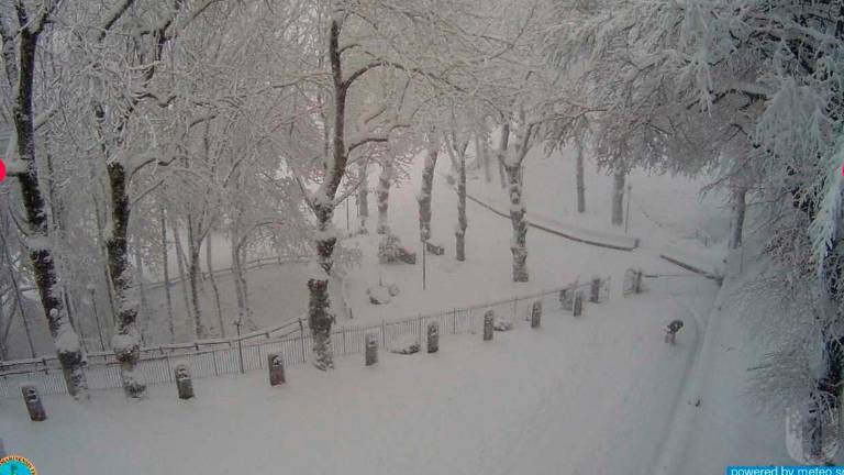 La webcam sul monte Carpegna a Montecopiolo