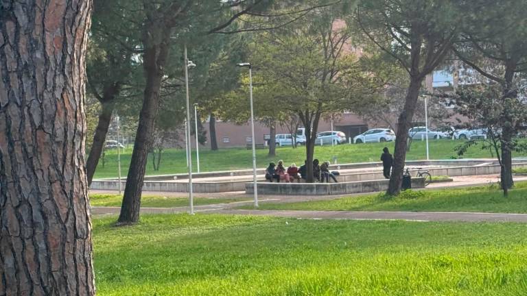 Cesena, i gestori del chiosco esasperati: «Spacciano, ci minacciano e i clienti scappano. Dobbiamo chiudere?» - Gallery