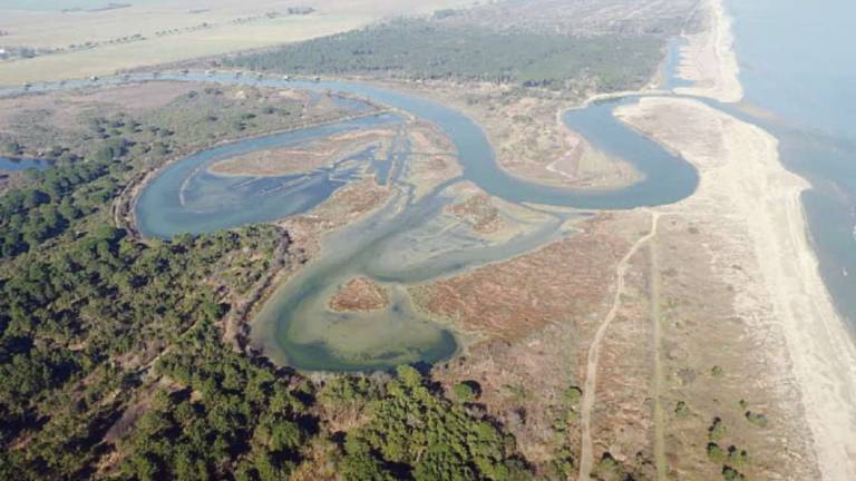 Ravenna, l'inchiesta che salvò l'Ortazzo: c'era già l'ok per porto e case