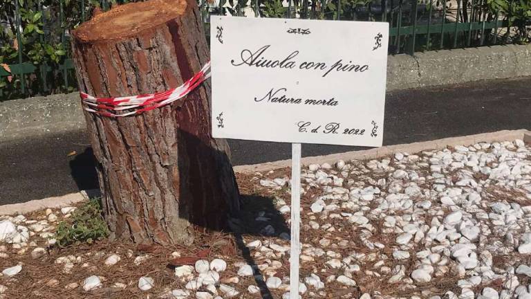 A Marina di Ravenna abbattuti 4 pini e spunta il cartello ironico