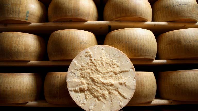 Una tonnellata di Parmigiano Reggiano in beneficenza: da Coldiretti 30mila euro per le imprese alluvionate in Romagna