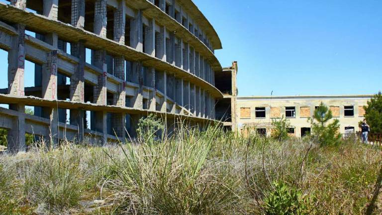 Cervia, la proposta: Un bosco verticale a due passi dal mare