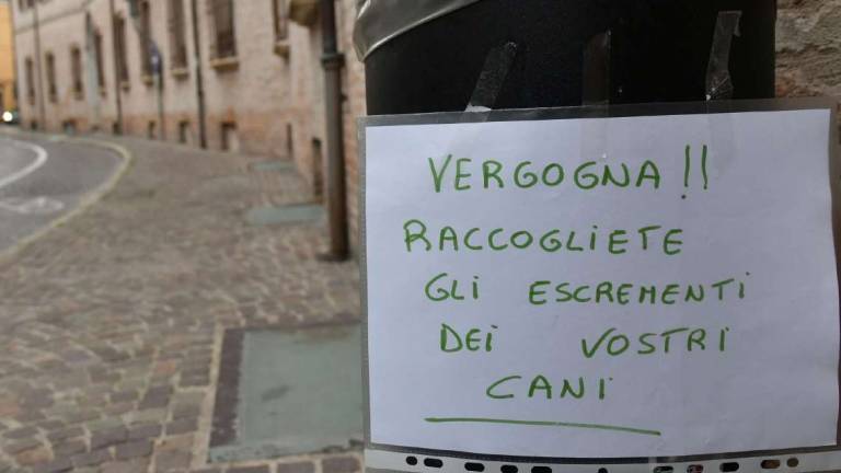 24zampe  Firenze, per chi non raccoglie la popò del cane multa da