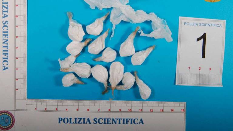 Spaccio di coca a Cesena: testimoni in difesa di 3 accusati