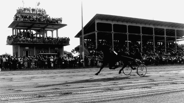 Cesena: l'ippodromo spegne 100 candeline