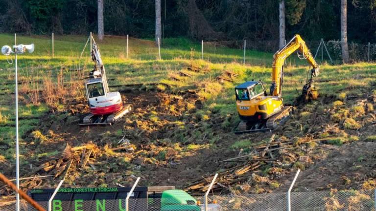 Imola, lavori alla tribuna Tosa al via. A posto per venti anni