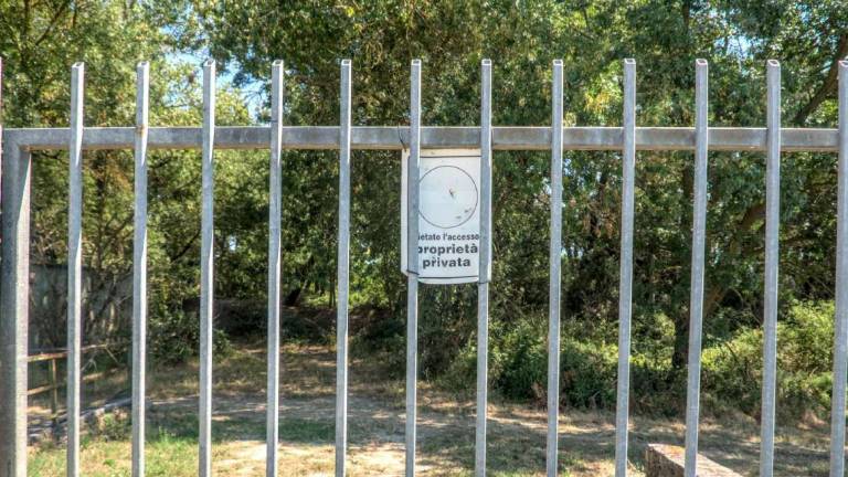 Ravenna, l'alt dell'Ente Parco sull'Ortazzo: Area non edificabile