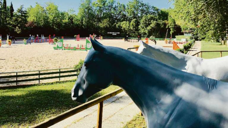 Disarcionata nella gara ippica a Ravenna per un pony in fuga: chiede 40mila euro