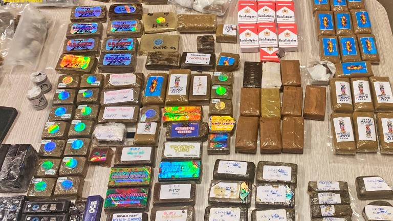 Rimini, si rompe un pacco di snack al formaggio e spunta la droga: i finanzieri indagano e ne trovano più di 15 chili