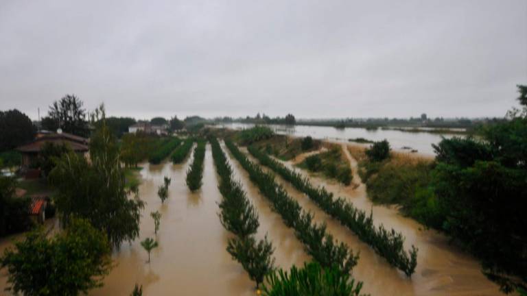 Maltempo in Romagna, il Lamone rompe l’argine a Traversara, file sulla A14 dir - GALLERY