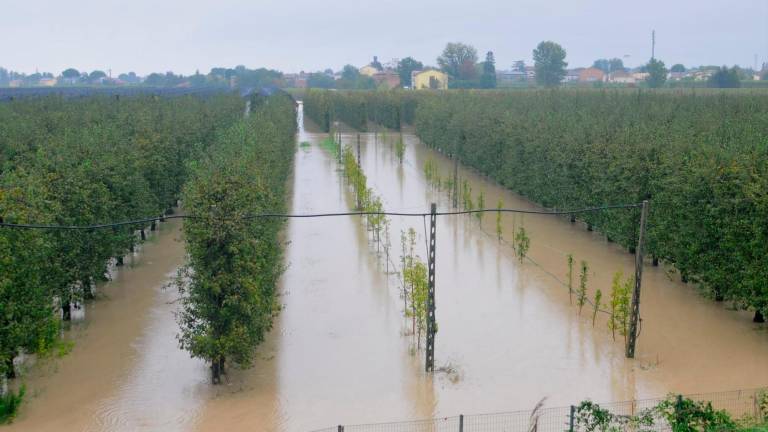 Maltempo in Romagna, il Lamone rompe l’argine a Traversara, file sulla A14 dir - GALLERY