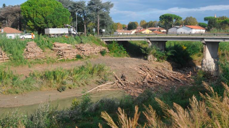 Cervia, catasta di tronchi sul fiume Savio: la situazione preoccupa i residenti di Castiglione