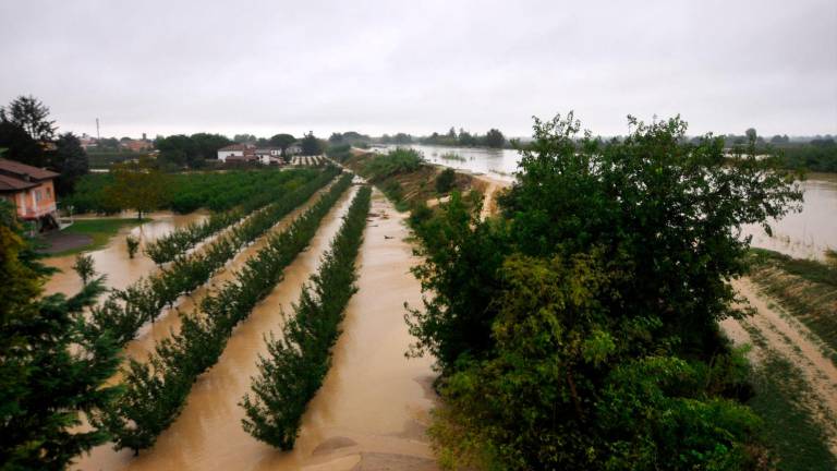 Maltempo in Romagna, il Lamone rompe l’argine a Traversara, file sulla A14 dir - GALLERY