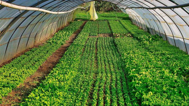 Emilia Romagna e Toscana unite per limitare e riciclare la plastica in agricoltura