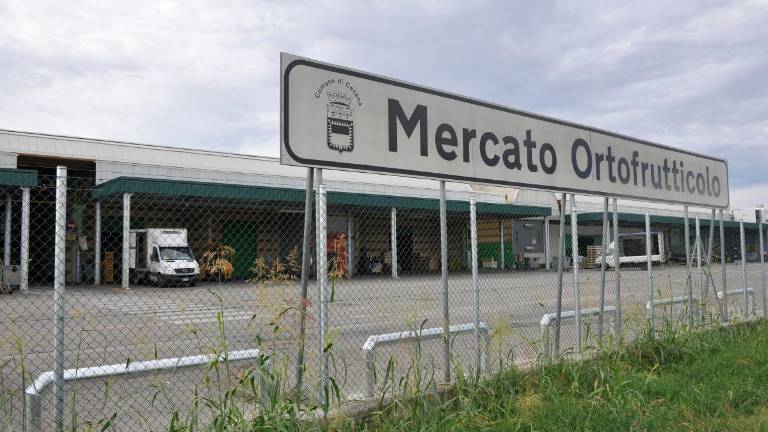 Il mercato ortofrutticolo a Pievesestina