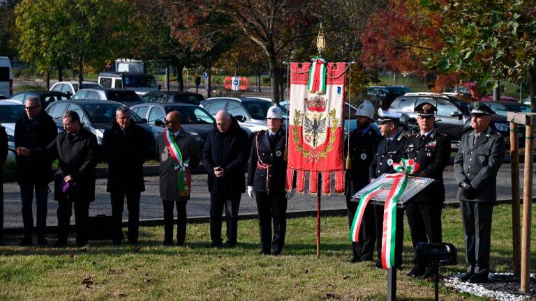 Forlì, “Giornata Mondiale in ricordo delle vittime della strada”: una mattinata di omaggio e riflessioni - Gallery