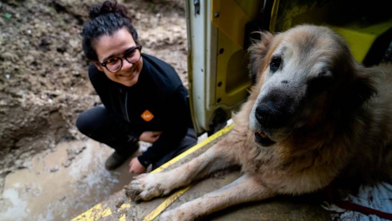 Salvati 55 cani da acqua e fango a Sant’Agata Feltria: “Aiutateci ad accoglierli” VIDEO