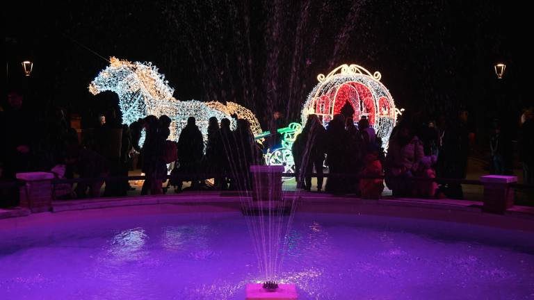 Forlì. Accesi i “Giardini di luce” - Gallery