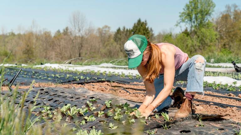 Forlì-Cesena: accordo per il rinnovo del contratto per 10mila lavoratori della cooperazione agricola