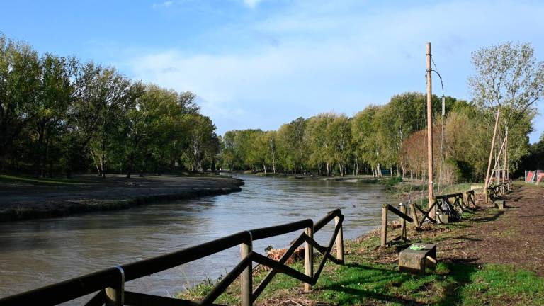 Esondato il fiume Santerno. Autodromo di Imola allagato, salvata una dipendente. Sfollate dieci persone a Casola VIDEO e FOTO