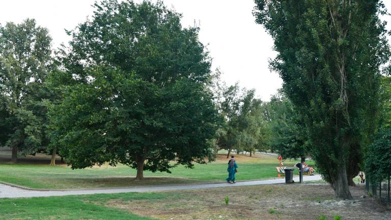 Forlì. Nuove risorse per il Verde pubblico