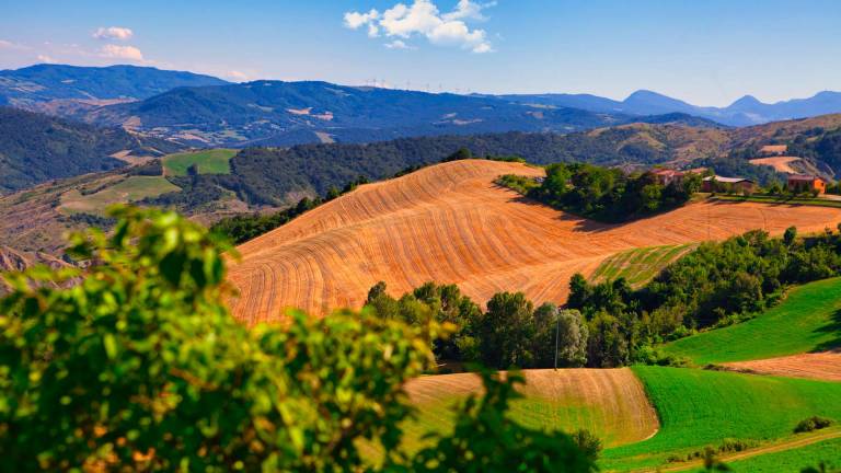 Allerta meteo per vento sull’Appennino romagnolo