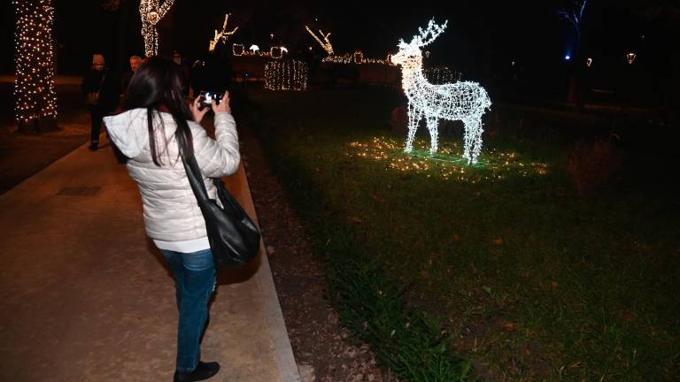 Forlì. Accesi i “Giardini di luce” - Gallery