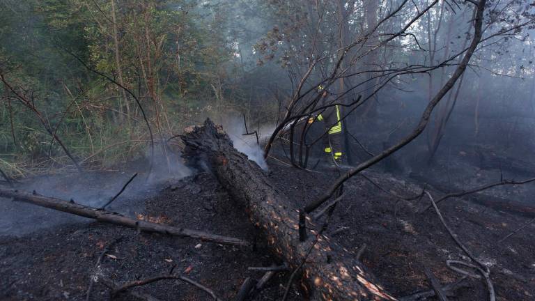 Un incendio del passato sulle colline di Borello