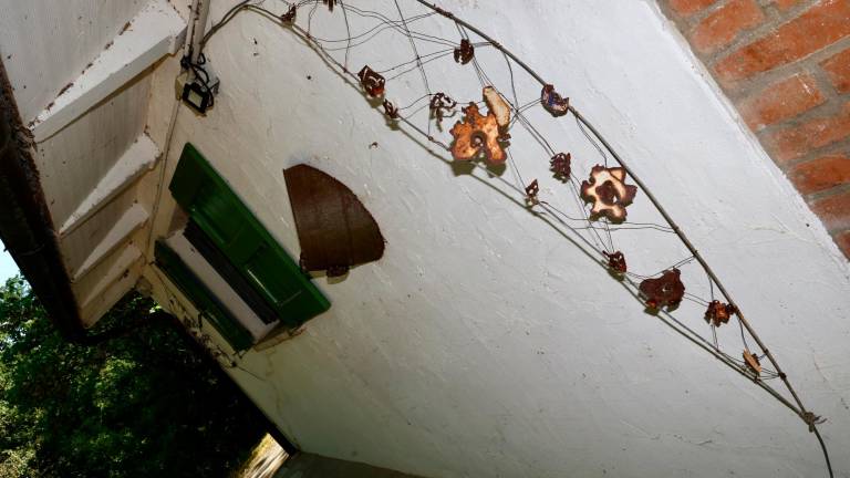 Germano Sartelli, la casa-museo nel bosco dove l’arte e la natura continuano a lavorare