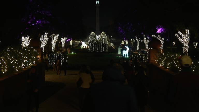 Forlì. Accesi i “Giardini di luce” - Gallery