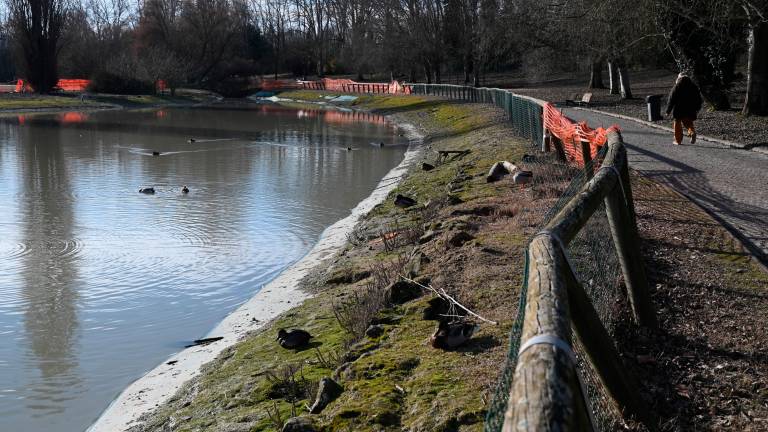 Forlì, il Pd e le criticità del parco urbano “Franco Agosto” FOTOGALLERY