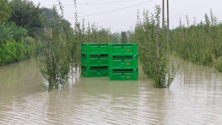 Campi allagati nelle campagne imolesi FOTO MMPH