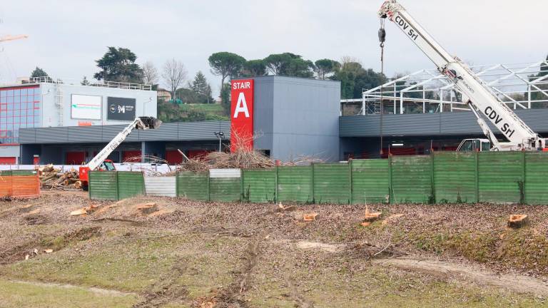 Imola, in sette sul ponte contro i tagli, ma gli alberi non ci sono già più