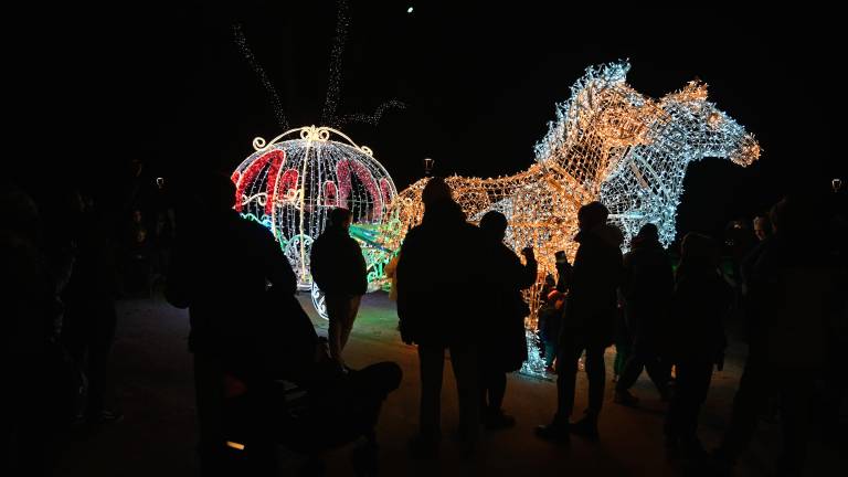 Forlì. Accesi i “Giardini di luce” - Gallery