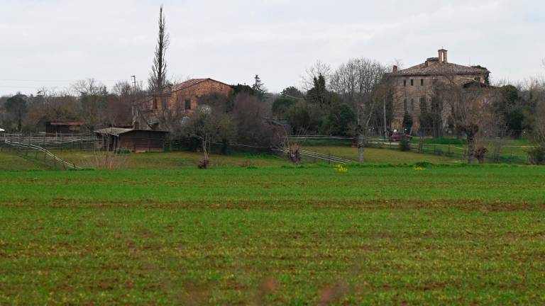 Forlì, rapina in villa: picchiati e derubati due anziani