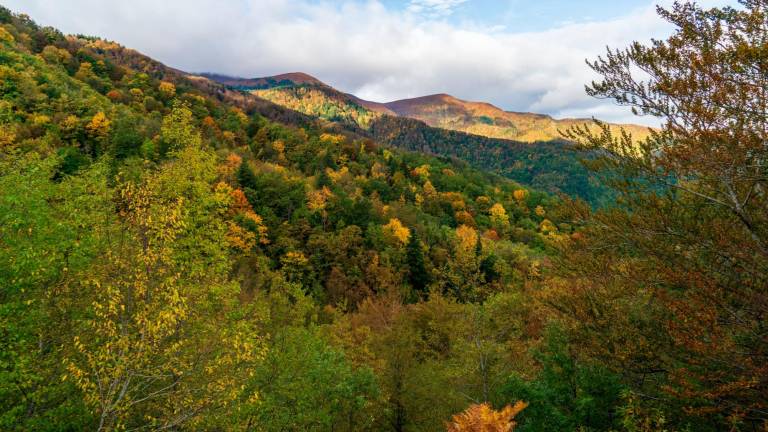 Bagno di Romagna, Torna il Festival Fall Foliage: il fine settimana che celebra colori e sapori dell’autunno