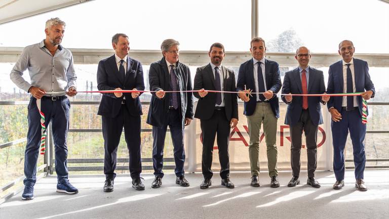 Forlì, da Caviro il più grande impianto agrivoltaico d’Italia: protegge le viti e rende la sede autosufficiente a livello energetico