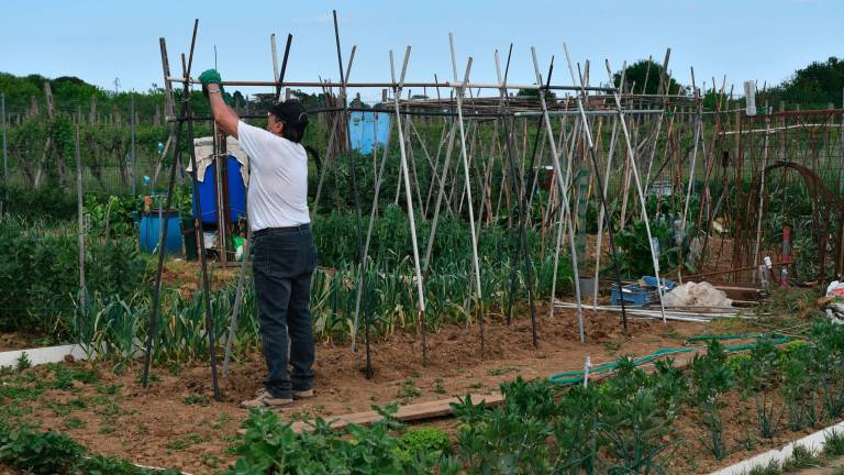 Forlì. Orti sociali, è boom di domande. Spazio a coltivatori di tutte le età