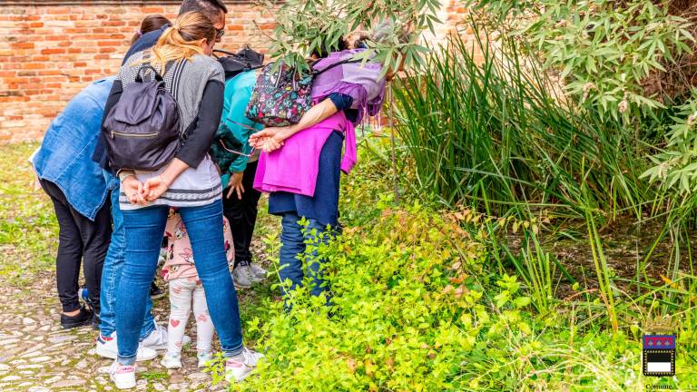 Cesena, “Vivi il verde”: una domenica speciale al Museo dell’Ecologia