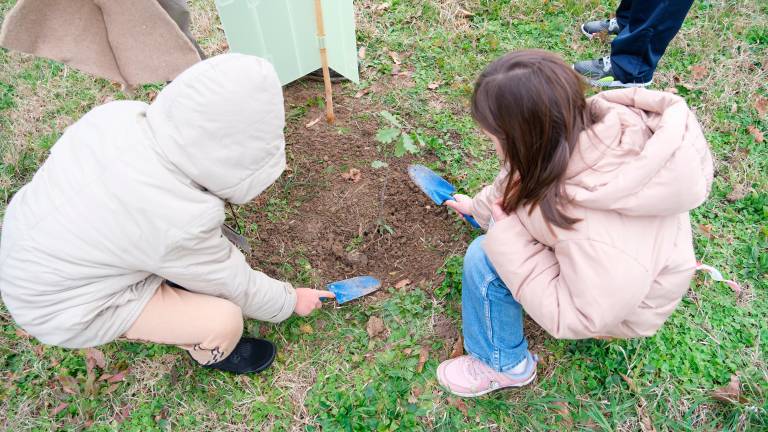 Ci sono 150 nuovi alberelli al parco Cesuola di Cesena piantati dagli alunni