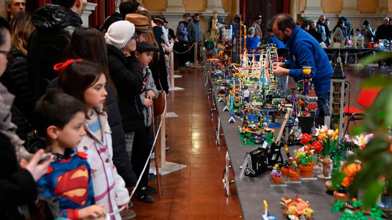 Tantissimi visitatori alla mostra allestita in Comune dall’associazione Collego Aps (foto Blaco)