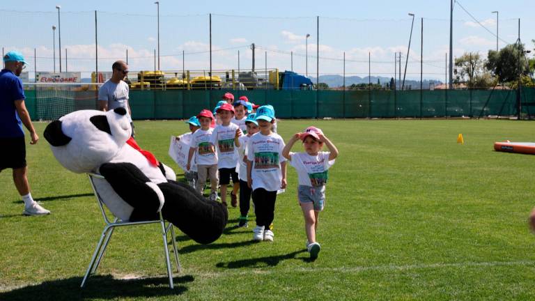 Educazione allo sport, centinaia di bambini a Martorano per il saggio finale di Panathlongiochiamo VIDEO GALLERY