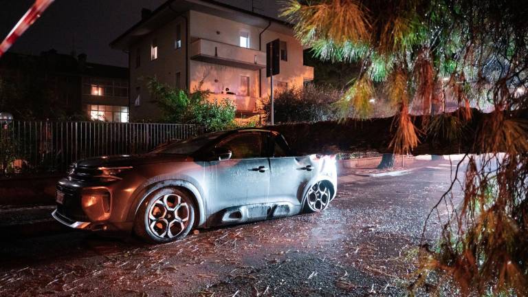 Cesena, altra auto parcheggiata distrutta da un pino caduto