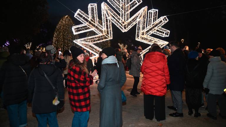 Forlì. Accesi i “Giardini di luce” - Gallery