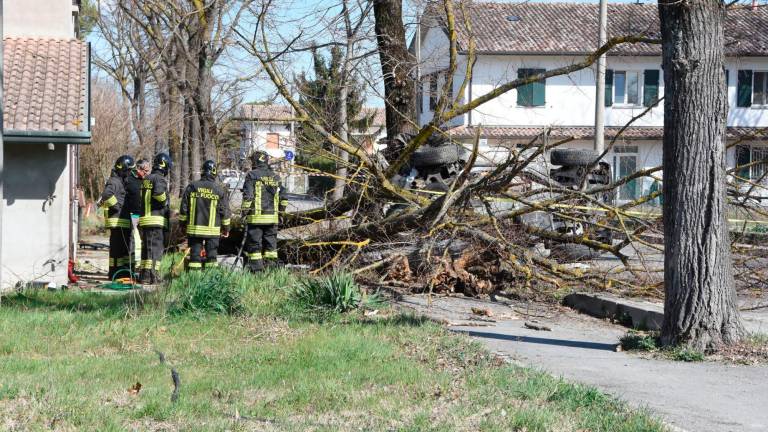 Forlì, raccolta firme contro gli alberi sulla via Lughese