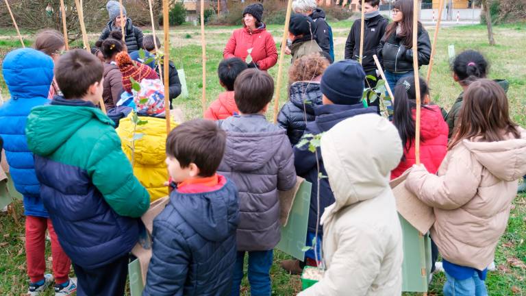 Ci sono 150 nuovi alberelli al parco Cesuola di Cesena piantati dagli alunni